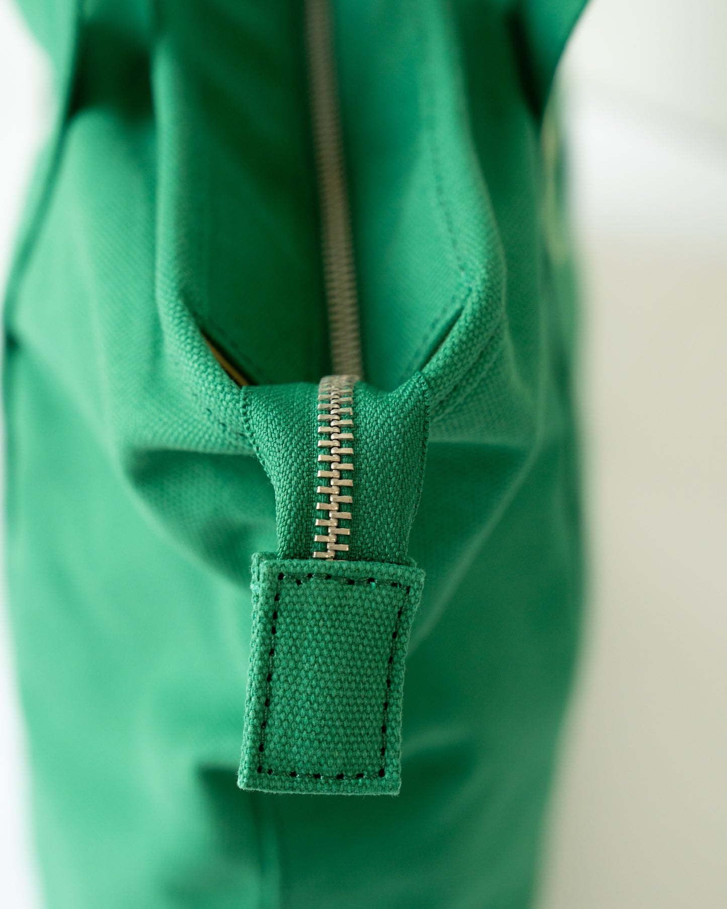 Everyday Green Tote Bag