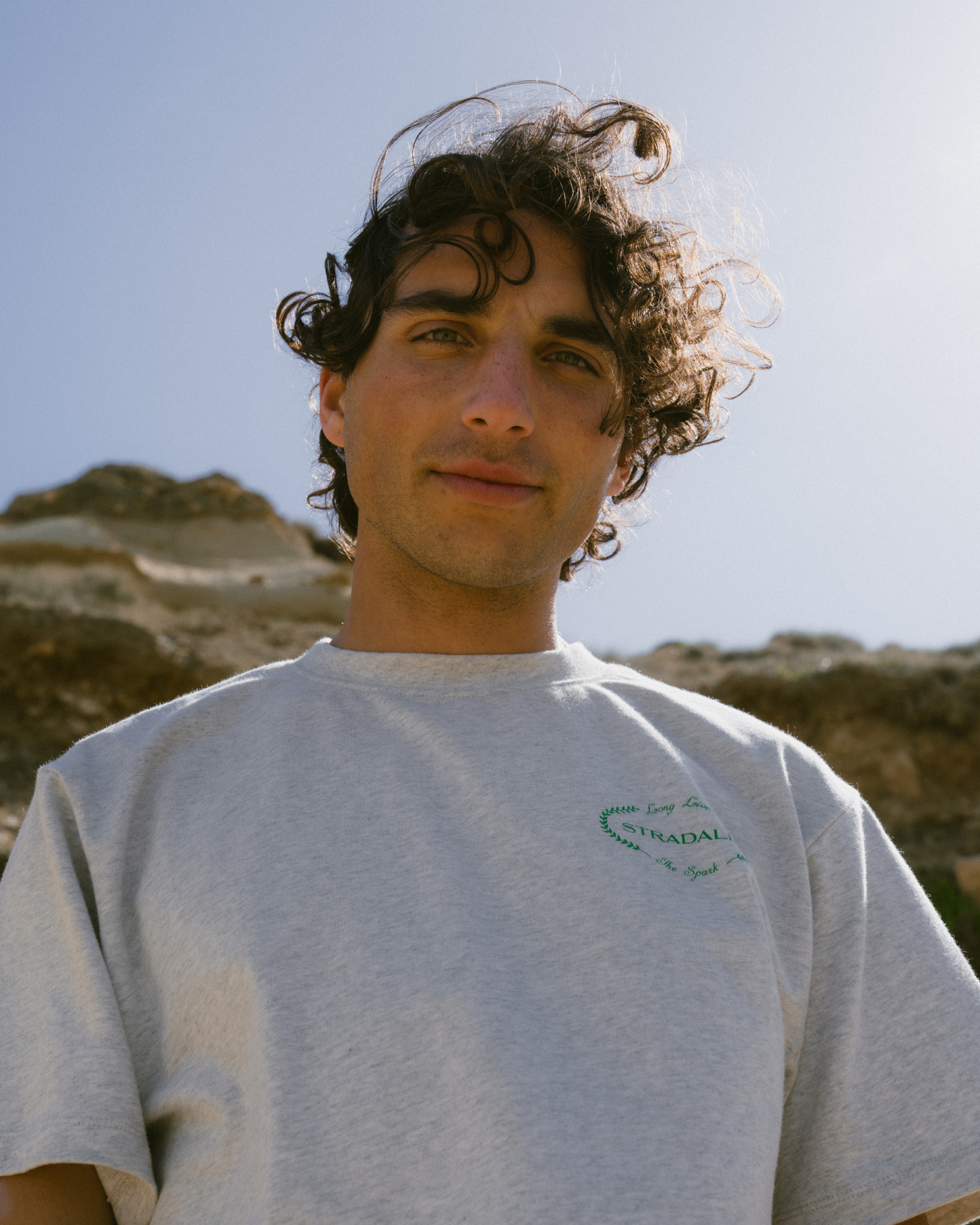 Halftone Spark Plug Grey Tee
